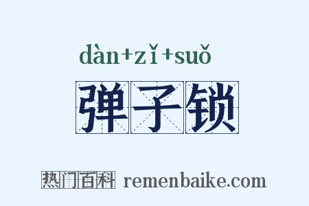 弹子锁是什么意思的图片